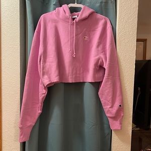 champion cropped hoodie